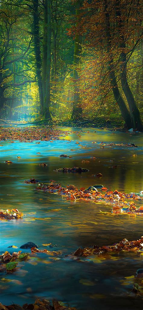 River Sunbeam Autumn 4k Iphone X Wallpapers Free Download