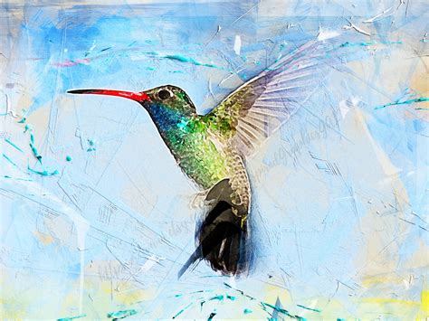 Hummingbird Animal Wall Art Printable Abstract Wall Art Etsy
