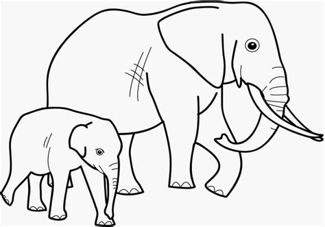Referat elefant bilderzum ausmalen / elefanten malvorlagen zum ausmalen fur kinder : Kinder Malvorlagen Elefant - Kinder Ausmalbilder
