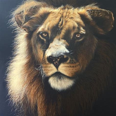 Hyperrealistic Oil Paintings Capture The Wild Nature Of The Animal Kingdom