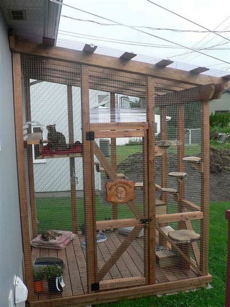 Suncatcher outdoor cat cages and enclosures allow your cat to come and go outside as it pleases and bask in the sun's natural rays. How to Turn an IKEA Bookcase Into a Catio | Outdoor cat ...