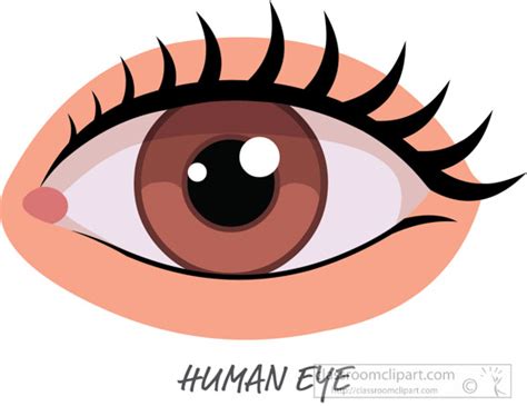 Brown Female Eyes PNG Clip Art Best WEB Clipart Eyes Clipart Clip