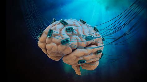This Lab Is Merging Human Brain Cells With Computer Chips Pcmag
