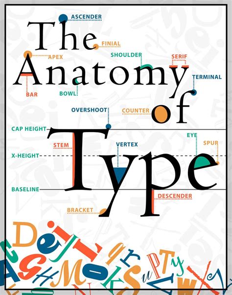The Anatomy Of Type Poster Anatomy Of Typography Type Posters