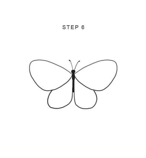 How To Draw A Butterfly Easy Step By Step Tutorial