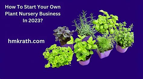 How To Start Your Own Plant Nursery Business In 2023?