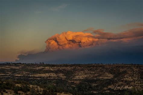 Stunning Photos Of Pyrocumulus Clouds Over The Claremont Bear Fire