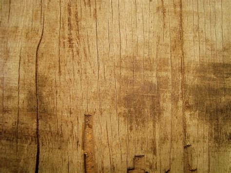 wood texture - Free Large Images | Wood texture, Texture, Wooden texture