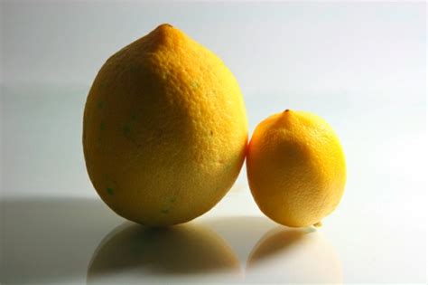 Los conceptos: Grande-Pequeño