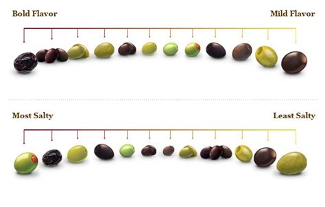 Lindsays University Of Olives Has A Quick Visual Guide To Help You Find Your Favorite Olive