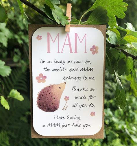 Mam Card Special Mam Best Mam Mothers Day T Tag Etsy Uk