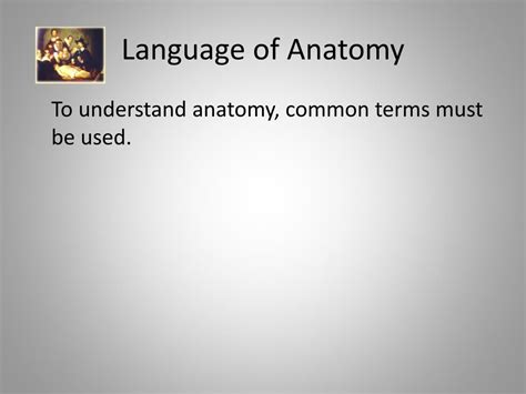 Ppt Language Of Anatomy Powerpoint Presentation Free Download Id