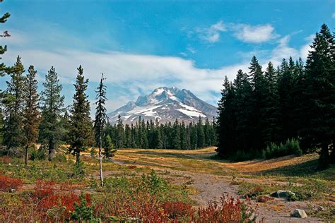 Summer At Mt Hood In Oregon Photograph By Athena Mckinzie Pixels