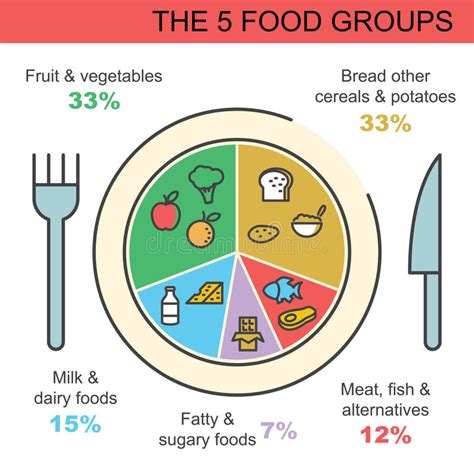 The australian guide to healthy eating displays the 5 food groups on a plate, in the proportion that you should be eating them throughout your day. The 5 food groups stock vector. Illustration of cheese ...