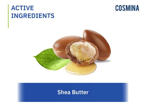 Shea Butter สารสกัดจากเมล็ดต้นเชียนัท Cosmina