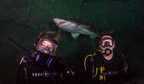 Blue Planet Aquarium Visit Cheshire