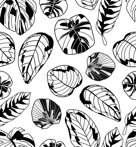 Seamless Pattern With Tropical Leaves Black And White Illustration