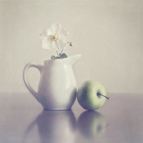 35 Must See Creative Examples Of Still Life Photography