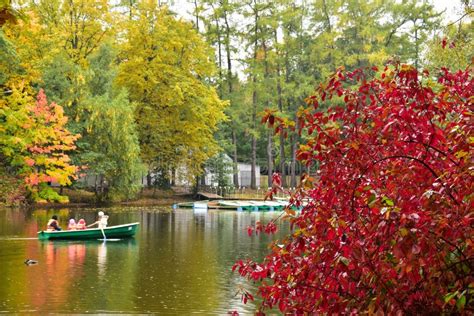 Green Forest And Red Sand Stock Image Image Of Shallow 150459217