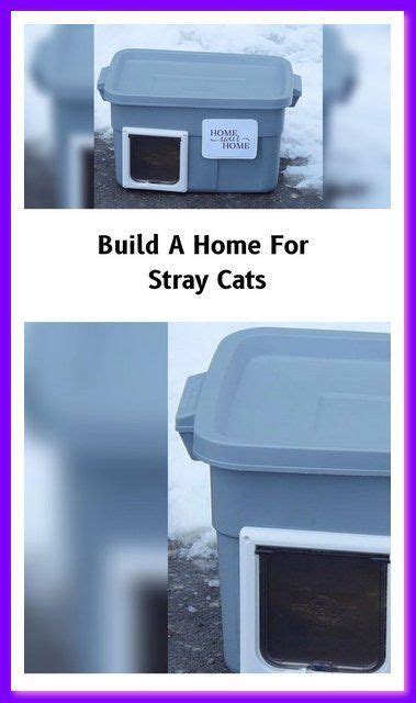 Build A Home For Stray Cats Here S How Artofit