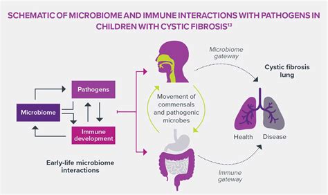 Respiratory Microbiota And Pulmonary Infections Associated With Cystic