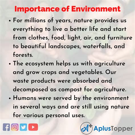 Importance of Environment Essay | Essay on Importance of Environment ...