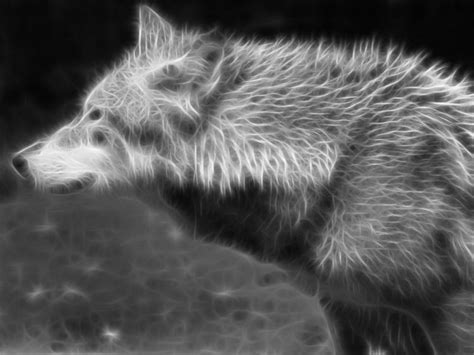 Wolf Wolves Predator Carnivore Fractal Artwork Wallpapers Hd