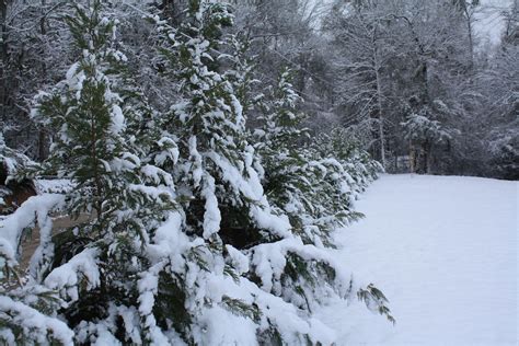 South Carolina Snow 2 13 10 Aynor Sc Eekahmarie Flickr