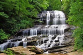 Pearson's Falls, NC Guide and Photos