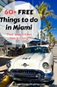 60+ FREE Things to Do in Miami That Won’t Cost You a Thing ...