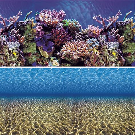 Vepotek Aquarium Background Ocean Seabed Coral Reef Double Sides