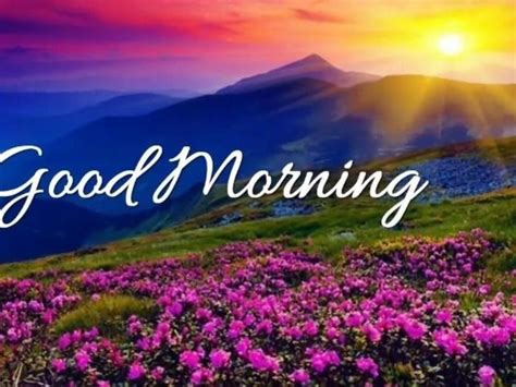 Ultimate Collection Of Full 4k Good Morning Messages Images Top 999 Amazing Selection