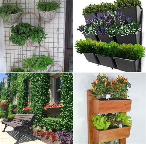 Vertical Garden Design Ideas For Beginners Gardening Tips