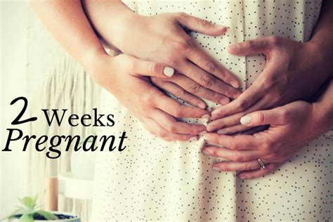 2 Week Pregnant Tips For 2 Week Pregnant Early Signs Of Pregnancy