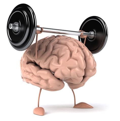 Beneficios Del Ejercicio Físico En Nuestro Cerebro