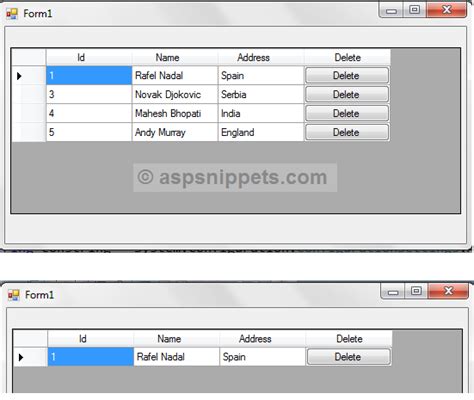 How To Delete Row In Datagridview In Windows Forms Winforms Images