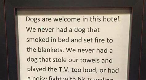Dogs Are Welcome In This Hotel 9gag Meme Pictures New Memes Viral
