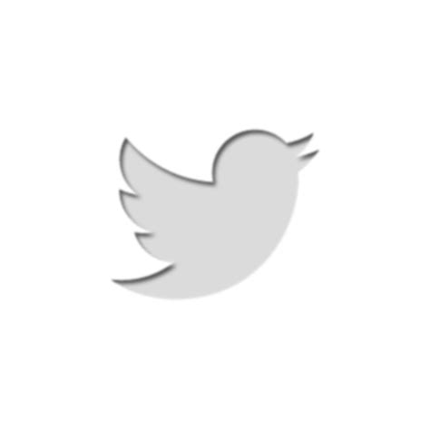 Small Twitter Logo Icon