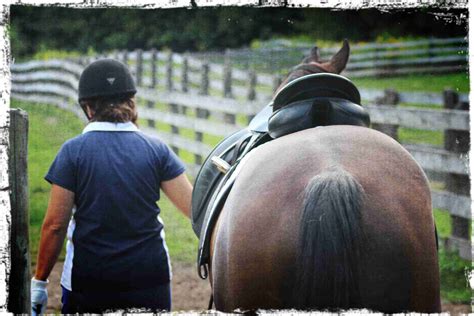 5 Life Lessons From Horses Horse Listening