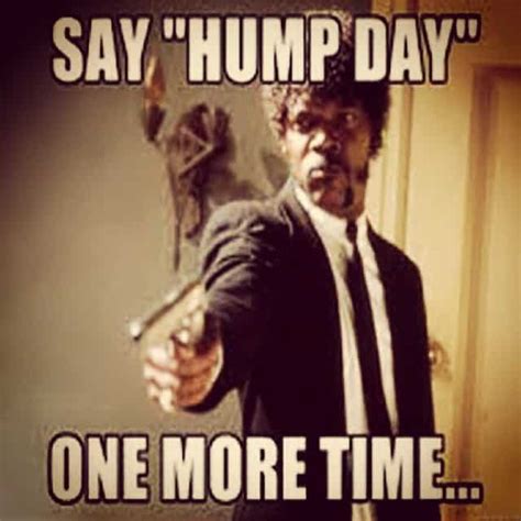 Hump Day Wednesday Meme