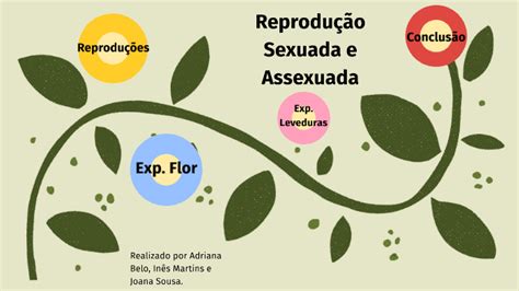 Reprodução Sexuada E Assexuada By Adriana Belo On Prezi