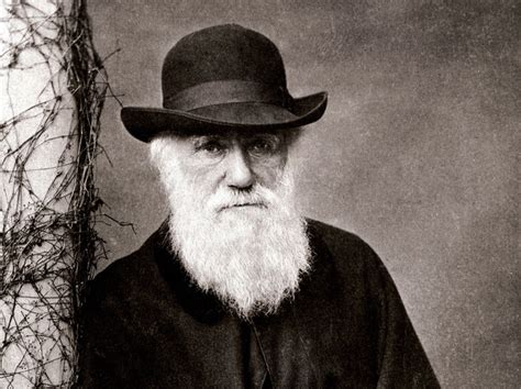 Darwin was a british scientist who laid the foundations of the theory of evolution and transformed the way we think about the natural world. Was lehrt uns die Evolutionstheorie?