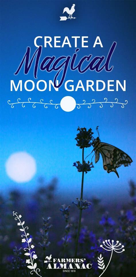 Create A Magical Moon Garden Moon Garden Night Blooming Flowers