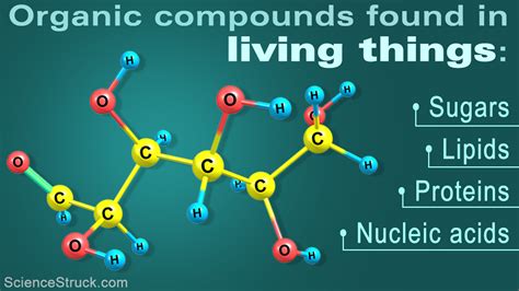 Organic Compounds Examples Science Struck
