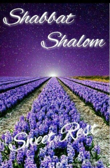 Shabbat Shalom Sweet Rest Purple Love All Things Purple Shades Of