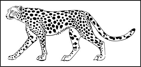 1) draw a rectangle that will define the conditional proportions and boundaries of the chosen drawing. Cheetah clipart body, Cheetah body Transparent FREE for ...