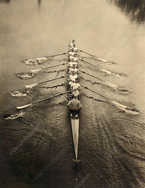 Rowing Crew Early 20th Century Stock Image C0142048 Science