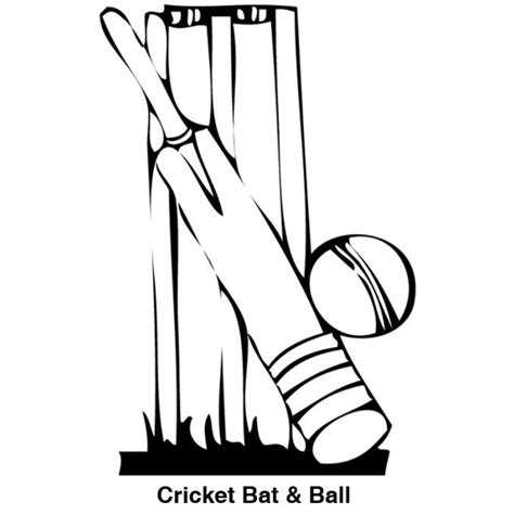 Bat Cricket Clipart Drawing Coloring Sketch Clip Colouring Pages Kids