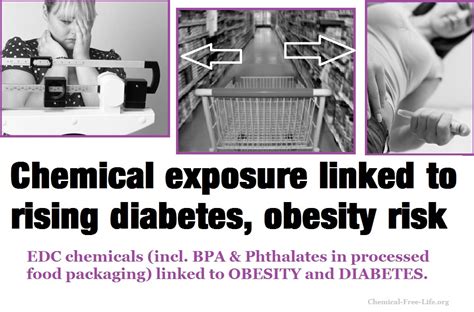 BPA In Food Containers Linked With Obesity But Not Replacement Chemicals New Study Chemical