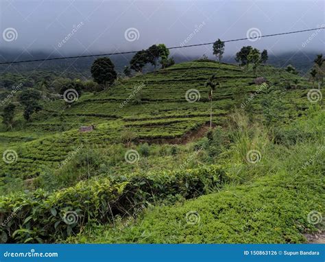 Natural Beauty Of Sri Lanka Stock Photo Image Of Real Landscape